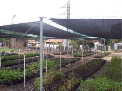 vivero