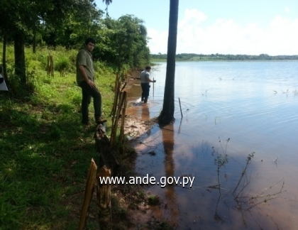 Verificación de plantones (José D. Ocampos)